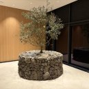 오레브 리조트(O'reve RESORT) 이미지