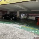 에스알기술(주) | 두피에 영양 때려박고 머리카락 끌어올려어/ 안산두피관리 *에스알뷰티센타*