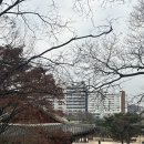 비원베이커리 | 서울 여행 가볼만한 곳 창덕궁 창경궁 대온실 입장요금, 정보, 포토존