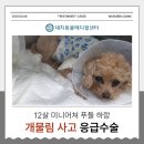 하랑메디컬 이미지