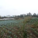 이충로100번길 이미지