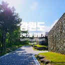 로잔동물병원 앞 | [국내여행] 강원도 2박 3일 - 가족여행으로 가기 좋은 켄싱턴리조트 설악밸리 프리미어 로잔 후기