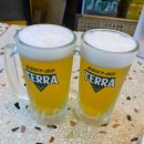 인쌩맥주배곧점 | (배곧신도시) 인쌩맥주