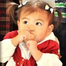 리틀베어 이미지