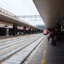 팬더 민박 이미지