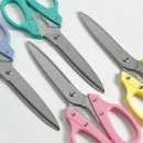 가위나라 이미지