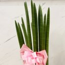 루나치과보존과치과의원 이미지