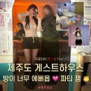 토미하우스 | 제주도 서귀포 게스트하우스 기대이하 파티후기 환승연애 숙소 같은 곳