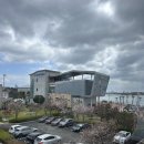 고래문화가 있는날 | 울산 아이랑 가볼만한곳 장생포 모노레일, 고래문화마을