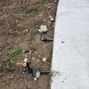 철탑 농장 이미지