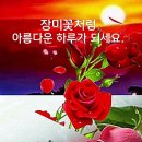 ﻿만병의 원인… 몸속 만성 염증 줄이는 방법 4 이미지