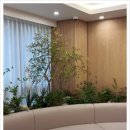 서울이랑드치과의원 이미지