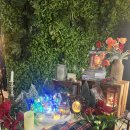 마이스페이스 | 문래창작촌 마이스페이스 카페 내돈내산 후기