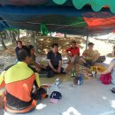 효자도2 이미지