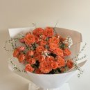 스튜디오로즈데이 네이버블로그