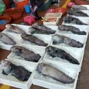 금정농협고래불리조트 | 1,490 후포항, 병곡 고래불리조트 추천, 영덕 대진항, 강구항 / 1박2일 여행 (3)
