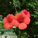 희망곤충농장 이미지