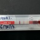 토론토 동물병원 이미지