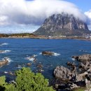 제주땅도집도OK공인중개사사무소 이미지