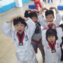 쌍용태권도장 이미지