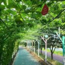 남천강변로 이미지