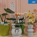 나즈플라워
