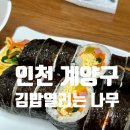 김밥열리는나무