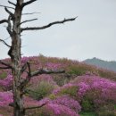 24호선 국도변 이미지