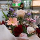 힐링 원예교실 이미지