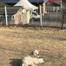 기쁨이네 민박 이미지