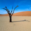 미소한의원 이미지