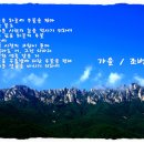 김시연#
