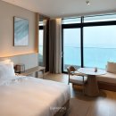 지에스25 송정강변점 | 신라모노그램 강릉 호텔 프리미어 디럭스 더블 오션뷰 숙박 후기 (미니바 / 수영장/ 헬스장 및 부대시설)