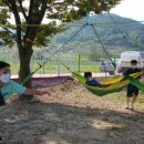 변산초등학교 이미지