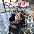 스타펫 | 강아지랑 가기 좋은 안성 스타필드, 유모차 대여부터 식사, 펫파크까지 솔직 후기(멀리 mw5)