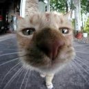 드레스룸 Dress Room 이미지