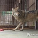 18시간