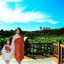본향