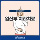 임산부 치과치료, 받아도 괜찮을까요?