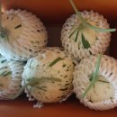 선이네농장 이미지