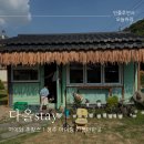 다올stay