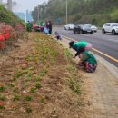 입장면행정복지센터 이미지