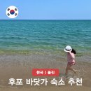 울진 숲속에 산장 펜션 | 경북 울진 여행 숙소 후포항 바닷가 가성비 호텔 추천 1박 2일 코스 정리
