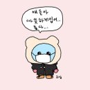 코리아짐 이미지