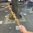 석원보쌈 | 가을가을가을