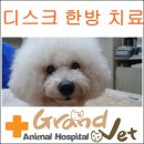 메이벳 이미지
