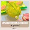 모아편의점 | 세븐일레븐 신상 아이스크림 멜론 아이스크림 추천 메론모아바, 편의점 디저트 솔직후기