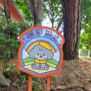 레티피코 | 견종제한 없는 대관운동장 추천, 실내와 수영장 모두 겸비한 레티피코