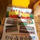 진도개 53카페 이미지