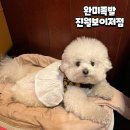 씨유 진월보이저점 | 광주 애견동반 맛집 진월동 완미족발 진월보이저점 애견동반 가능한 족발집